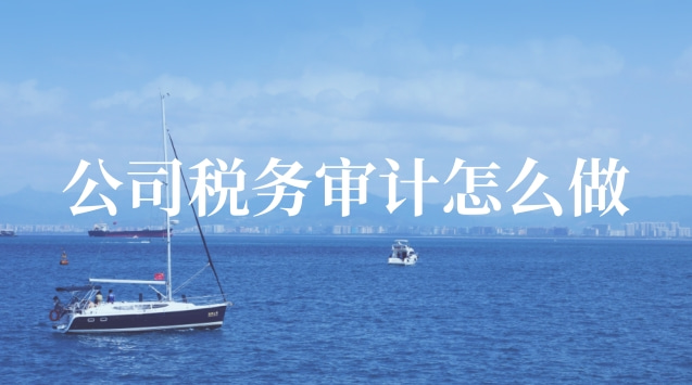 公司稅務(wù)審計(jì)怎么做